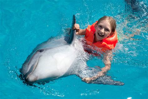 Top Caribbean Shore Excursions For Families Ncl Travel Blog