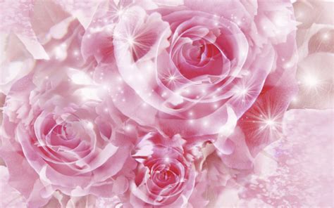 Pretty Pink Roses Wallpaper Pink Color Photo 34590746 Fanpop