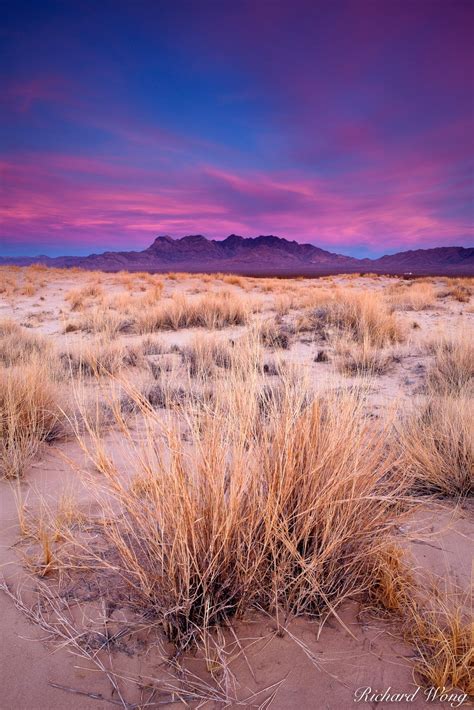Providence Mountains Mojave Desert Photo Richard Wong Photography