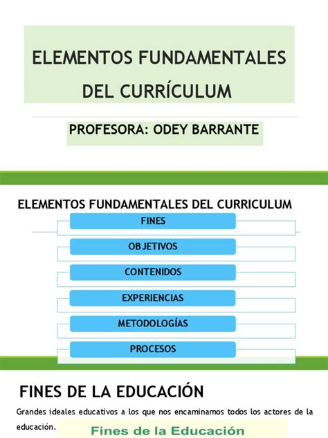 Elementos Fundamentales Del Currículum Pdf