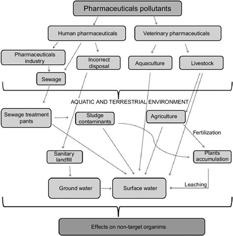 1 Major Pollution Pathways Of Pharmaceutical Residues In The Aquatic