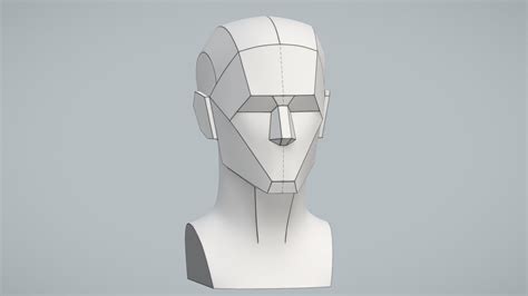 Basic Planes Of The Head Andrew Loomis Download Free 3d Model By