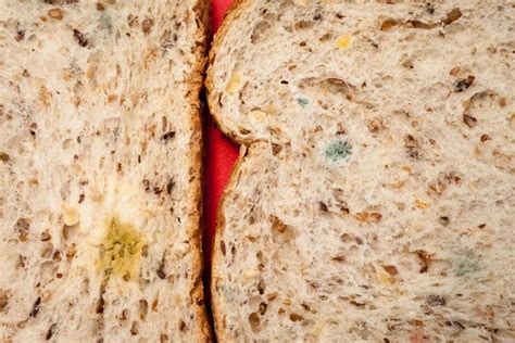 Moldy Bread Is It Safe To Eat