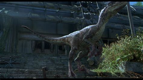 Image Raptorcalls2 Park Pedia Jurassic Park Dinosaurs Stephen Spielberg