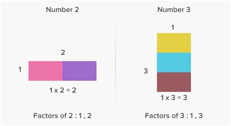 What Are Prime Numbers Definition Facts And Example