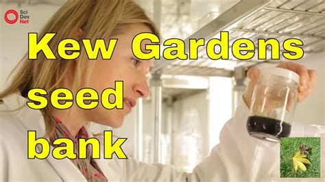 Kew Gardens Millenium Seed Bank London Our Organic Seed Heritage Youtube