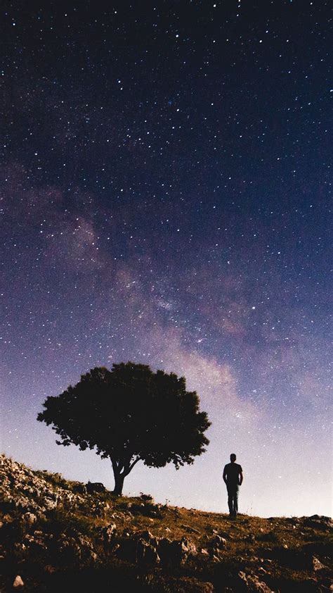 Galaxy Galaxy Tree Starry Sky Night Download Wallpapers 2022