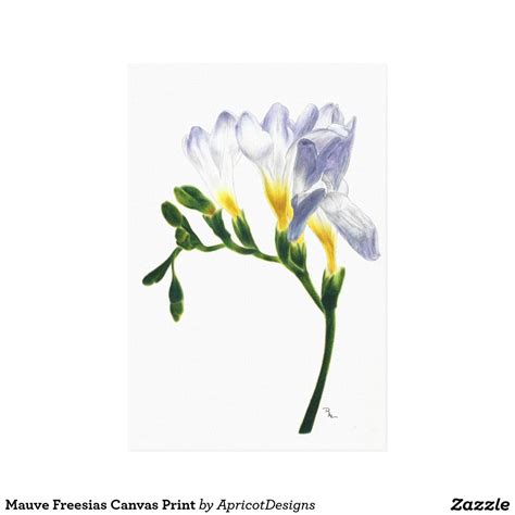 We did not find results for: Mauve Freesias Canvas Print Realistic coloured pencil ...