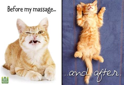 Voor En Na Massage Citaten Massagekamer Massage