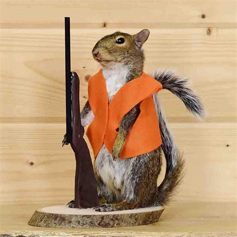 Hunting Squirrel Taxidermy Mount Sw5838 In 2021 Taxidermy Mounts
