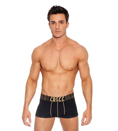 new gregg homme seducer line underwear news briefs