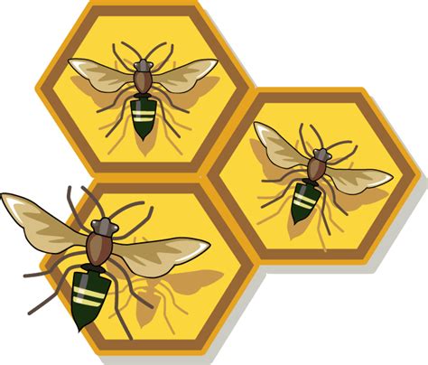 Clipart Bees Honeycomb Image 20 Free Cliparts Download Images On