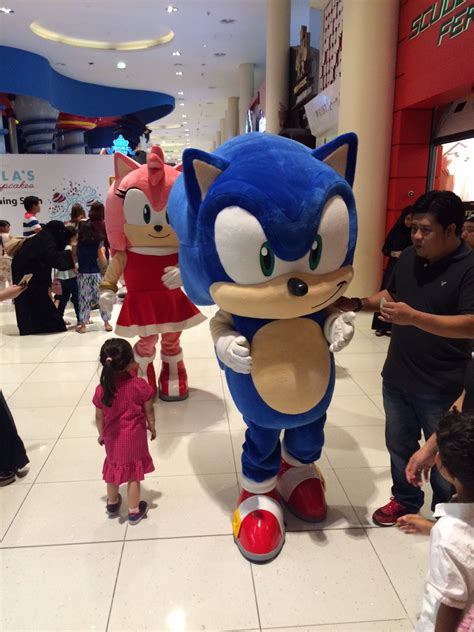 Encyclopedia Sonnica Daftpunkyoshi Sonic And Amy Rose Mascot Costumes
