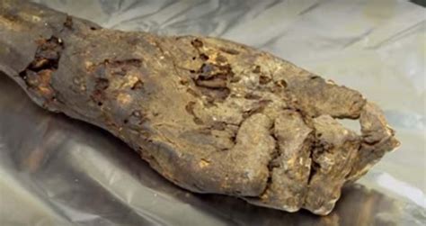 The First Genome Data From Ancient Egyptian Mummies Ancient Egyptians Were Most Closely Related