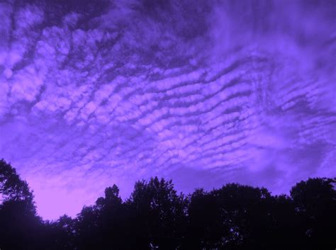 See more ideas about purple aesthetic, purple, violet aesthetic. aesthetic vibes on Twitter: "purple https://t.co/TmoTC756Ai"