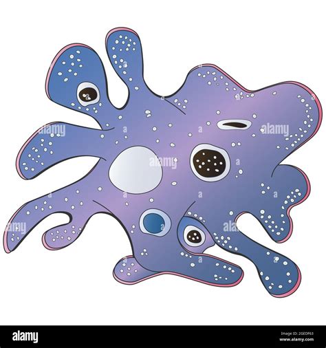 Purple Amoeba Proteus Vector Illustration Of A Microorganism Bright