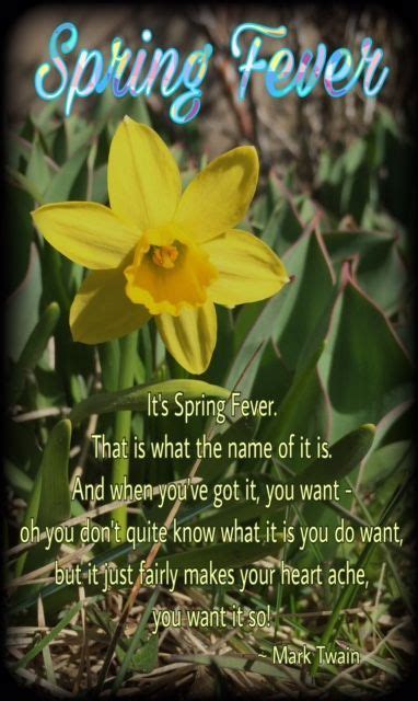 First day of spring quotations to activate your inner potential: First Day of Spring, Quote from Mark Twain, Spring Fever ...
