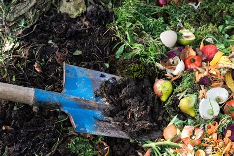 Composting At Home Getting Started And What To Use It For Pt 1