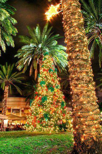 Christmas Palm Tree Christmas Palm Tree Hawaiian Christmas Hawaii