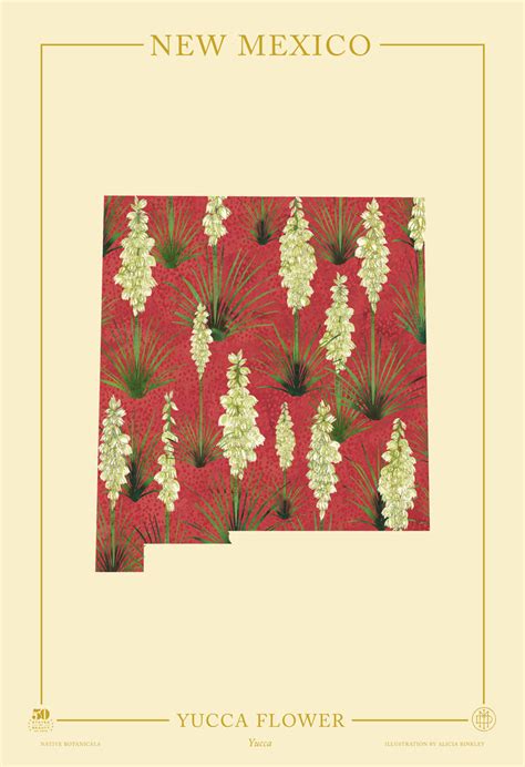 New Mexico Native Botanicals Print 50 States Of Beauty