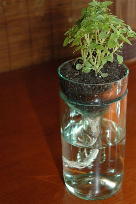 Self Watering Planter Made From Recycled Wine Bottle Perfect Etsy