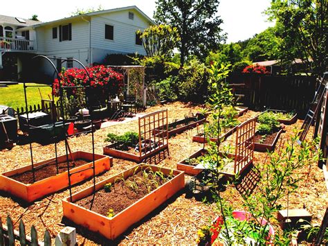 Urban Vegetable Garden Ideas