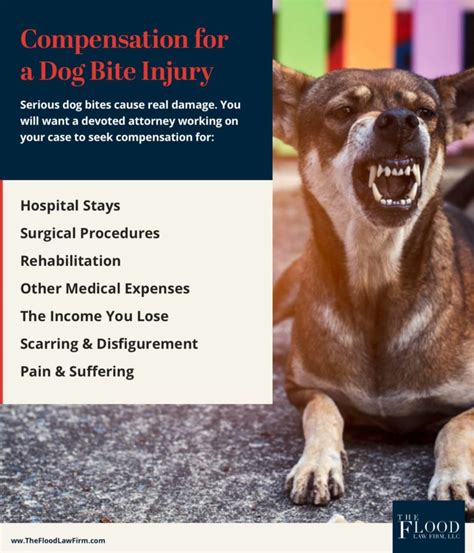 Connecticut Dog Bite Lawyer Dog Bite Injury Attorneys