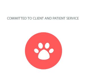 veterinarian - Brookhaven, GA - BuckHaven Veterinary Clinic | Veterinary clinic, Clinic, Dental ...