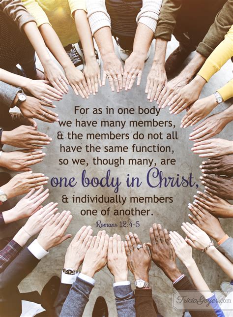 One Body In Christ Romans 124 5 Tricia Goyer