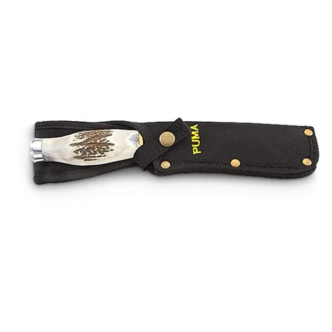 Puma Rolled Stag Bowie Knife 213692 Fixed Blade Knives At Sportsman
