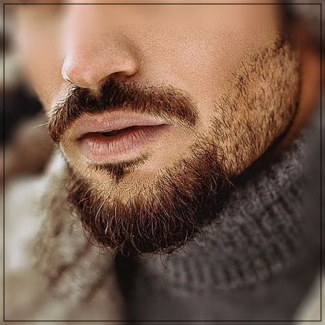 Mens Facial Hair Styles Beards Man Beard
