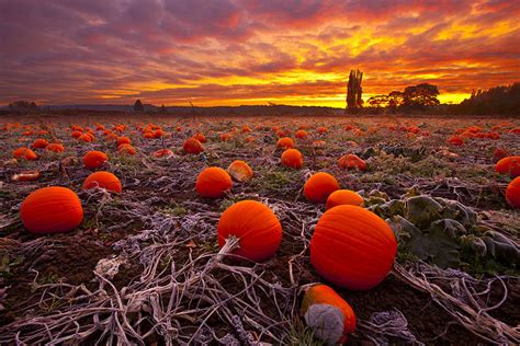 These 20 Beautiful Autumn Photos Will Inspire You To Grab