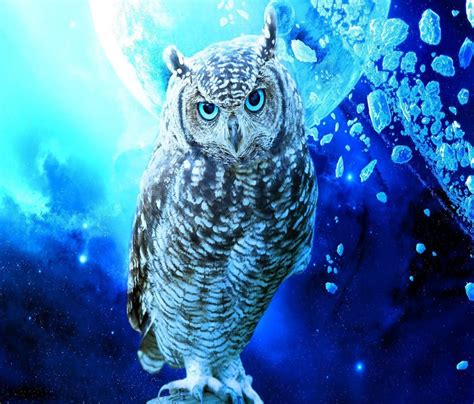 Blue Owl Wallpapers Top Free Blue Owl Backgrounds Wallpaperaccess Images