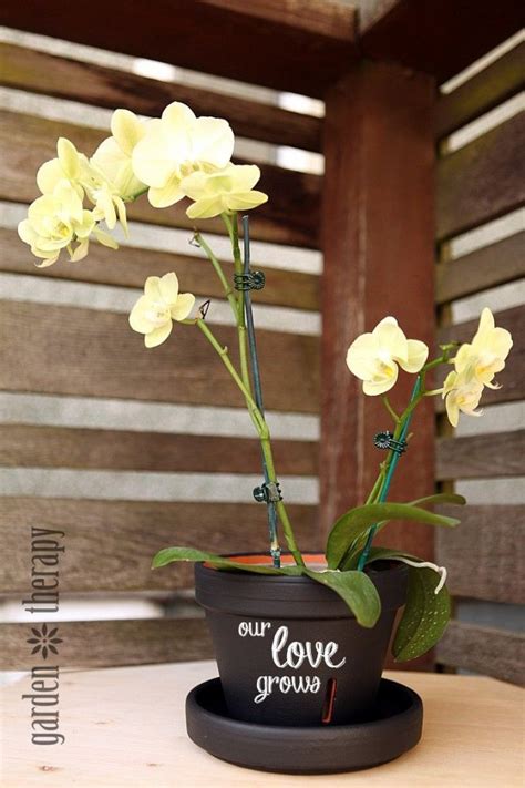 Chalkboard Painted Orchid Pot And Orchid Care Instructions Orchid Pot Chalkboard Flowers Diy