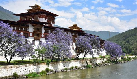 top 5 bhutan dzongs updated for 2020 regent holidays