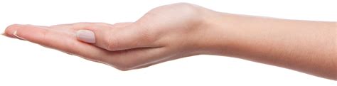 Holding Hands Png Hd Transparent Holding Hands Hdpng Images Pluspng