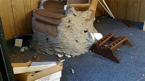You will need a hive tool to be able to break those frames apart to look at them. Wild Yellow Jacket Nest, MUST SEE!!! - YouTube