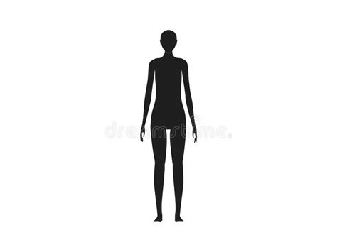 Human Body Outline Front Back Stock Illustrations 643 Human Body