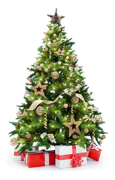Free hq photos about tree. Christmas Tree Stock Photos, Pictures & Royalty-Free ...