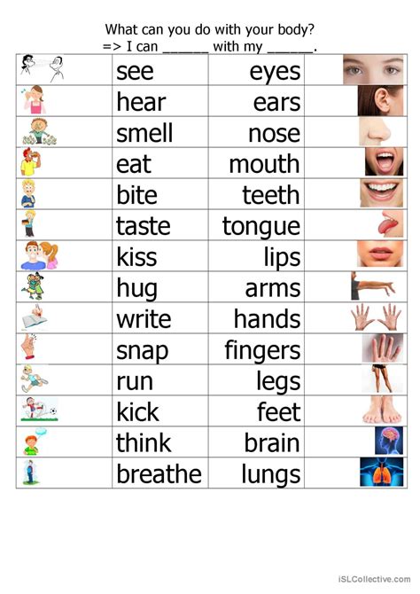 What Can You Do With Your Body Fol English Esl Worksheets Pdf Doc