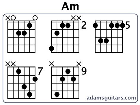 Am Guitar Chords From