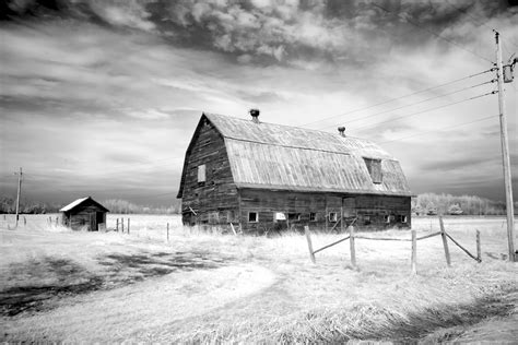 Free Images Landscape Nature Grass Snow Winter