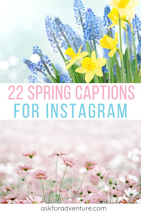 100 Spring Captions For Posting Your Best Instagram Photos Instagram