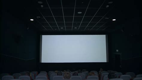 Spectators Sitting In Front Of White Screen In Cinema Spectator