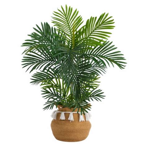 Nearlynatural T2949 40 In Uv Resistant Indoor And Outdoor Areca