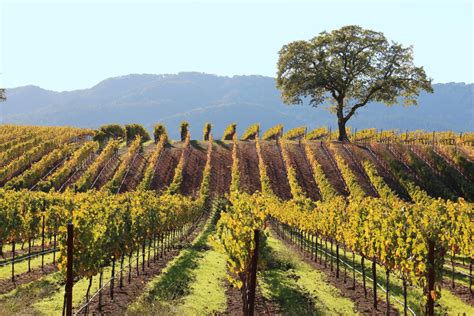 48 Hours Exploring Sonoma Valley