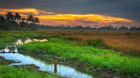 Best Experiences To Enjoy Monsoon Tourism In Kerala Iris Holidays