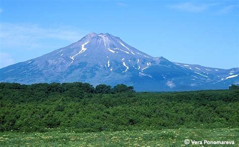 Active Volcanoes Of Kamchatka And Kuriles Zheltovsky