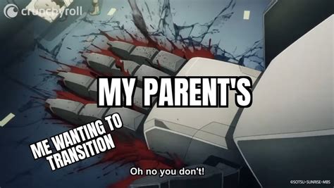 My Parents When They Found Out I Want Hrt Rlgbtmemes