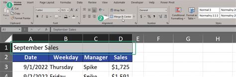 Merge Cells Vs Center Across Selection Excel And Adam